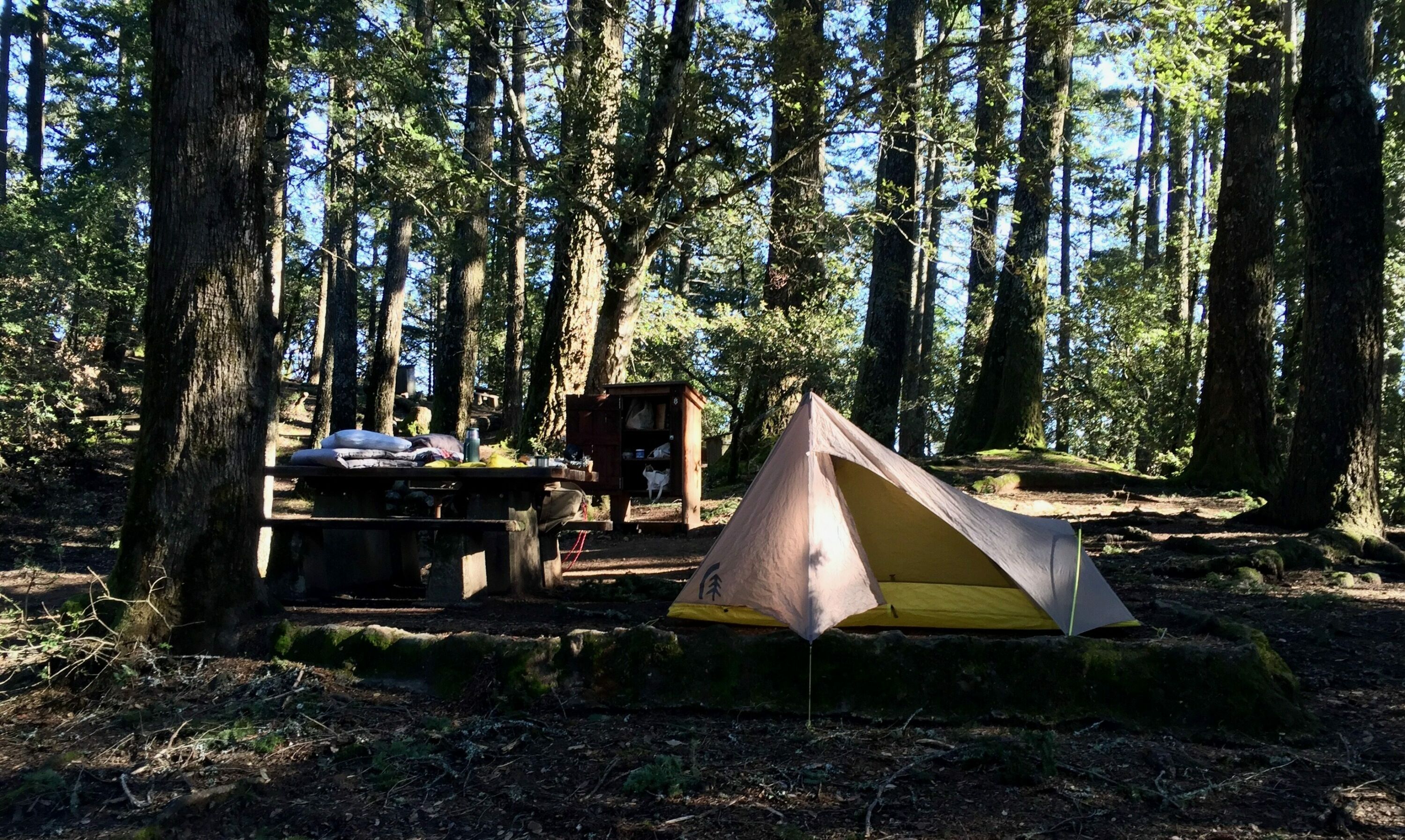 Camping on Mount Tam