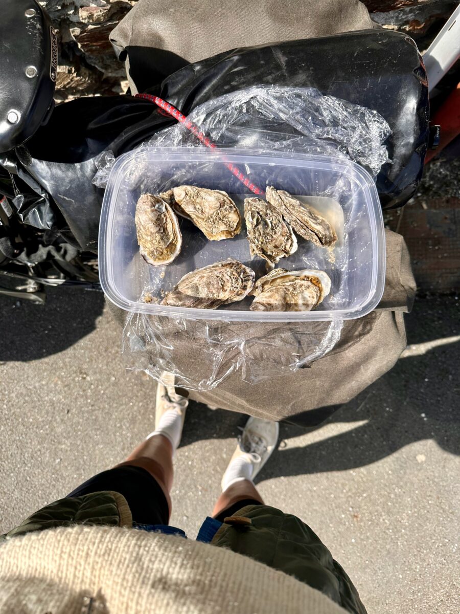 EuroVelo 4 - Oysters in Cancale