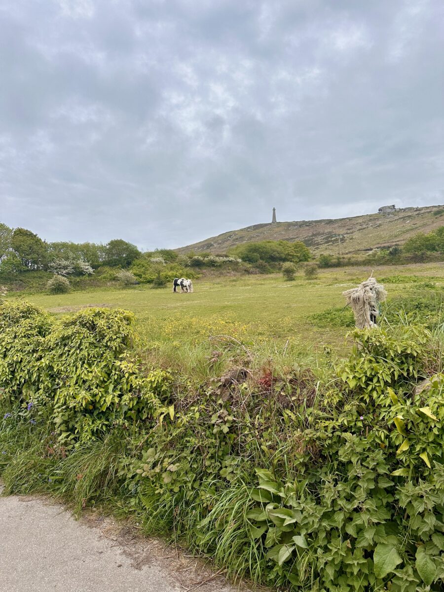 Land's End to John o'Groats - horses and old mines