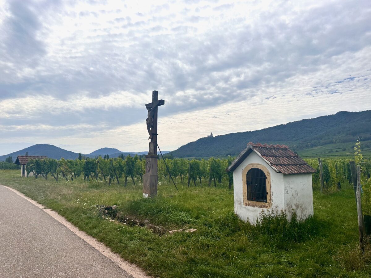 Eurovelo 5 - beautiful vineyards in the Alsace