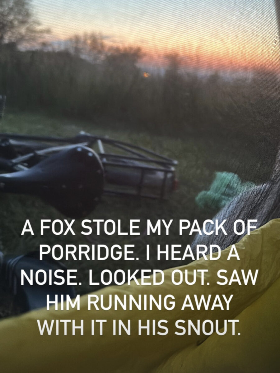 At night, a fox stole my porridge