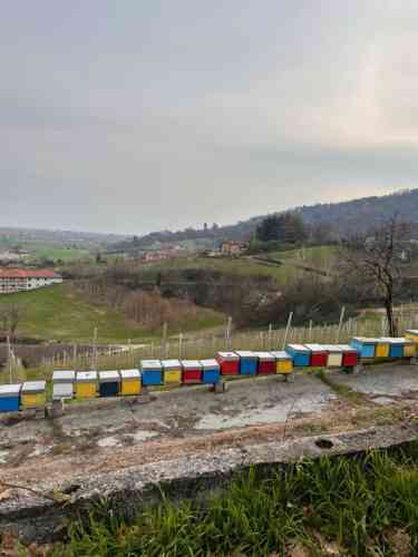 EuroVelo 8 - Bienenstock im Piedmont