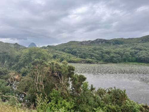 North Coast 500 - a lake full of water lillies