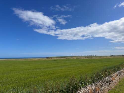 North Coast 500 - flatlands in Reay