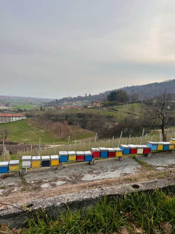 EuroVelo 8 - beehives in the Piedmont, Italy