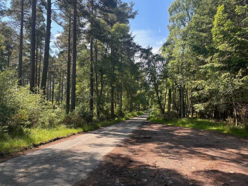 EuroVelo 1 - beautiful forest near Inverness