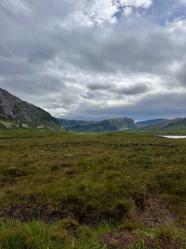 North Coast 500 - beautiful heathland landscape